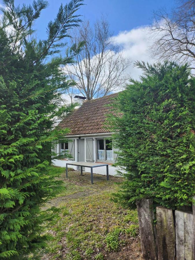 فيلا Maison Sunpark Oostduinkerk 550 كوكسيجدي المظهر الخارجي الصورة