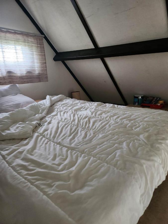 فيلا Maison Sunpark Oostduinkerk 550 كوكسيجدي المظهر الخارجي الصورة